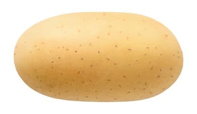 कर्नाटक आलू मंडी भाव — बेंगलुरु, हासन, कोलार, चिकमगलूर ताज़ा थोक दर और दक्षिण भारत विश्लेषण (2026)