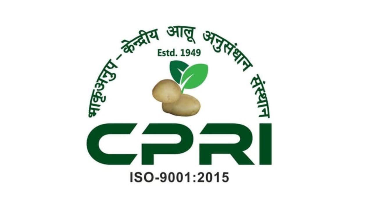 ICAR-CPRI मोदीपुरम में 1,500 क्विंटल आलू की नीलामी — 20-21 अप्रैल 2026