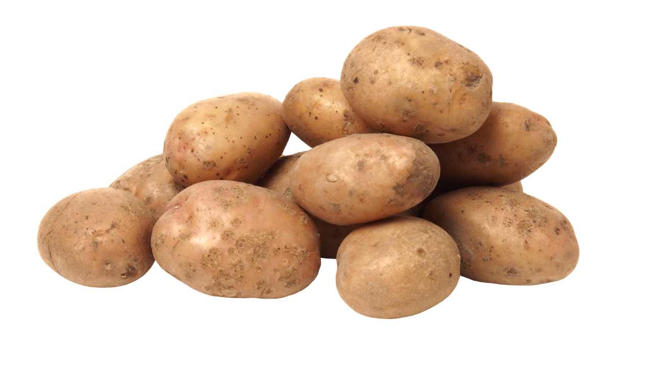 आलू की खेती कैसे करें — बुआई से कटाई तक पूरी गाइड (2026)