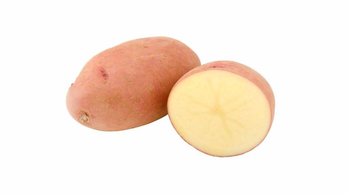 बिहार आलू मंडी भाव 2026 — पटना, नालंदा, मुज़फ़्फ़रपुर ताज़ा भाव