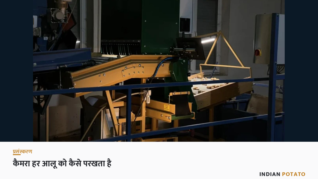 एआई ऑप्टिकल सॉर्टिंग मशीन — बेल्ट पर चलते आलुओं की जाँच करता औद्योगिक कैमरा