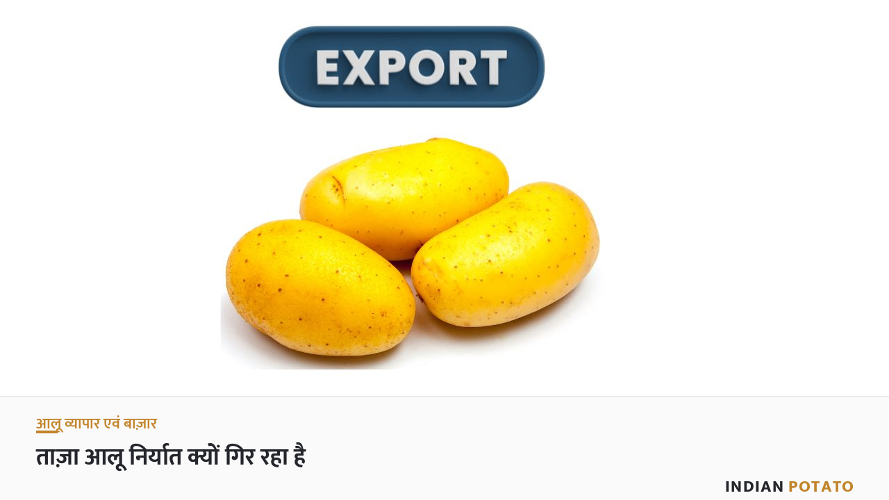 भारत का ताज़ा आलू निर्यात गिरावट — रिकॉर्ड फ़सल पर भी सिकुड़ता वेयर निर्यात