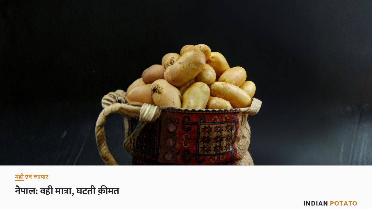 पारंपरिक बुनी हुई बोरी में ताज़े आलू — भारत के नेपाल के साथ आलू व्यापार का प्रतीक