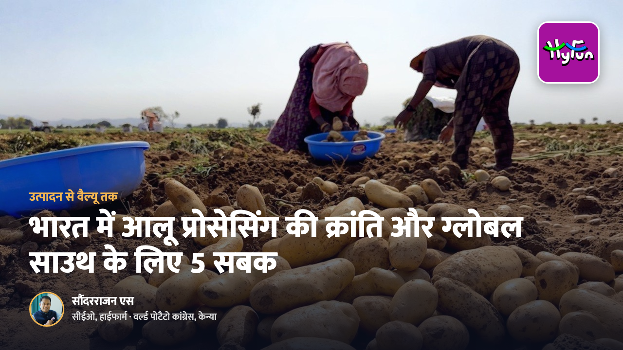 आलू की खुदाई करती महिलाएँ, ऊपर हाईफन का लोगो और लेख का शीर्षक: भारत में आलू प्रोसेसिंग की क्रांति