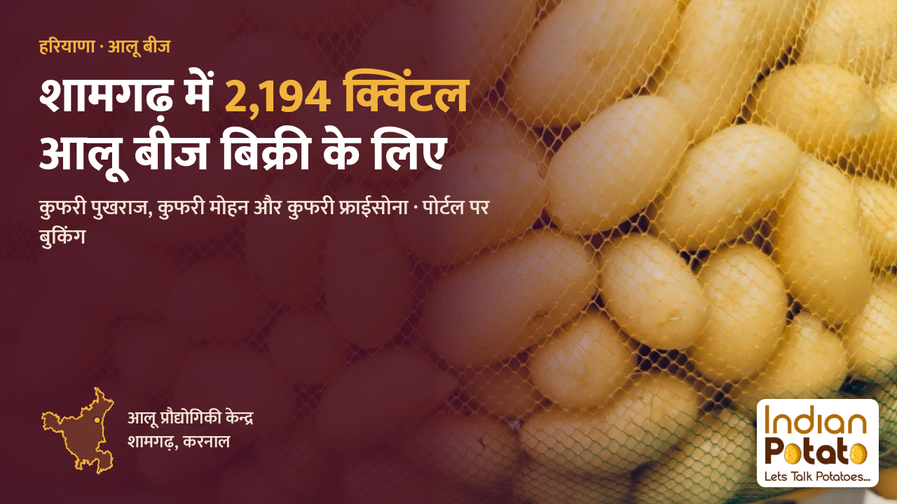 आलू प्रौद्योगिकी केन्द्र शामगढ़, करनाल में 2,194 क्विंटल आलू बीज बिक्री के लिए: कुफरी पुखराज और कुफरी मोहन