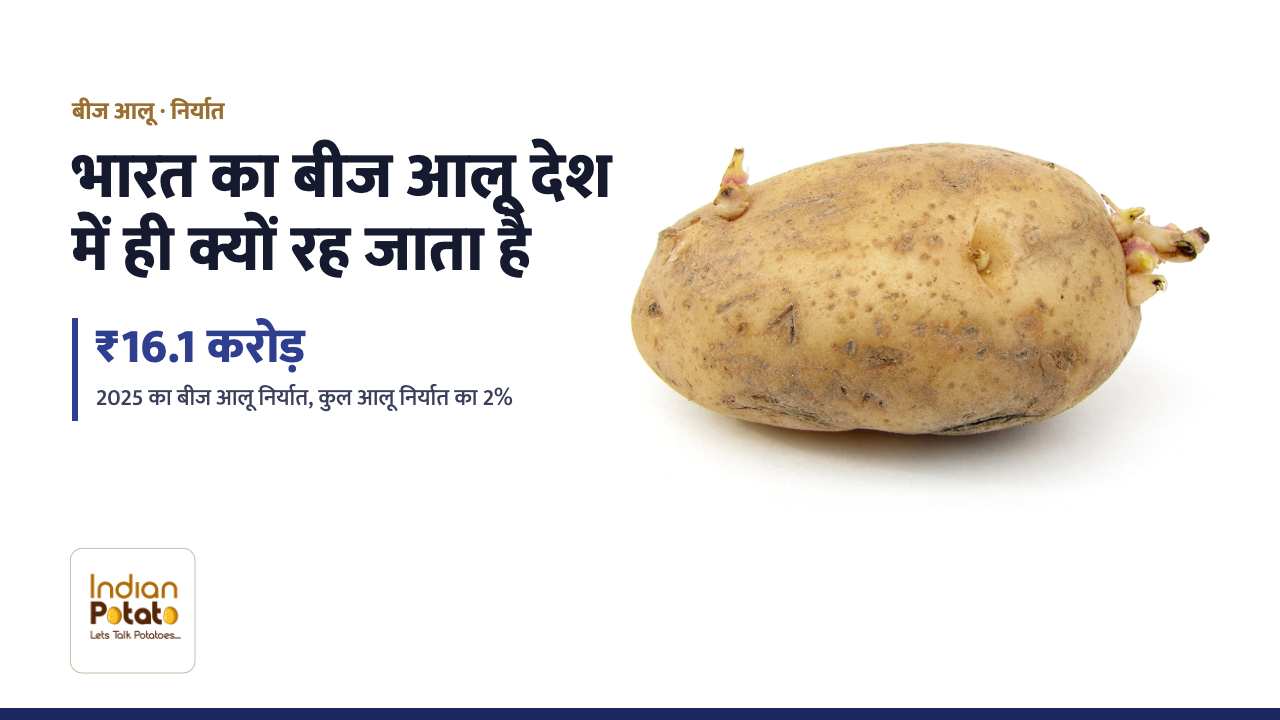अंकुर निकला आलू — भारत बीज आलू बाहर क्यों नहीं बेच पाता