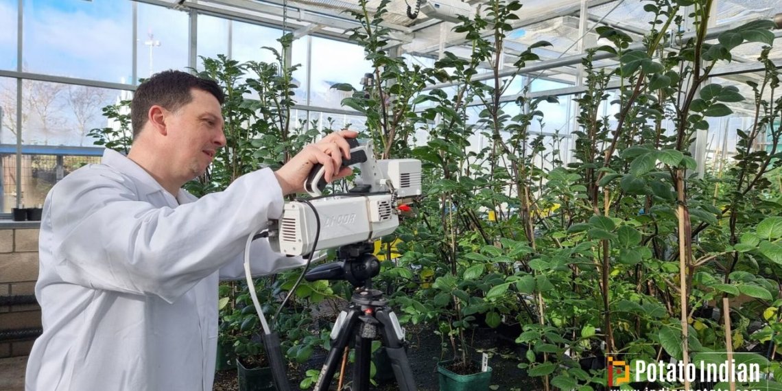 Dr-Raymond-Campbell-part-of-the-team-that-discovered-the-role-of-germin3-measures-photosynthesis-in-tuberising-potatoes-1140x570