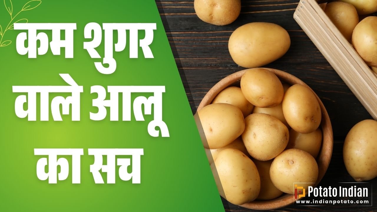 कम शुगर वाले आलू का सच