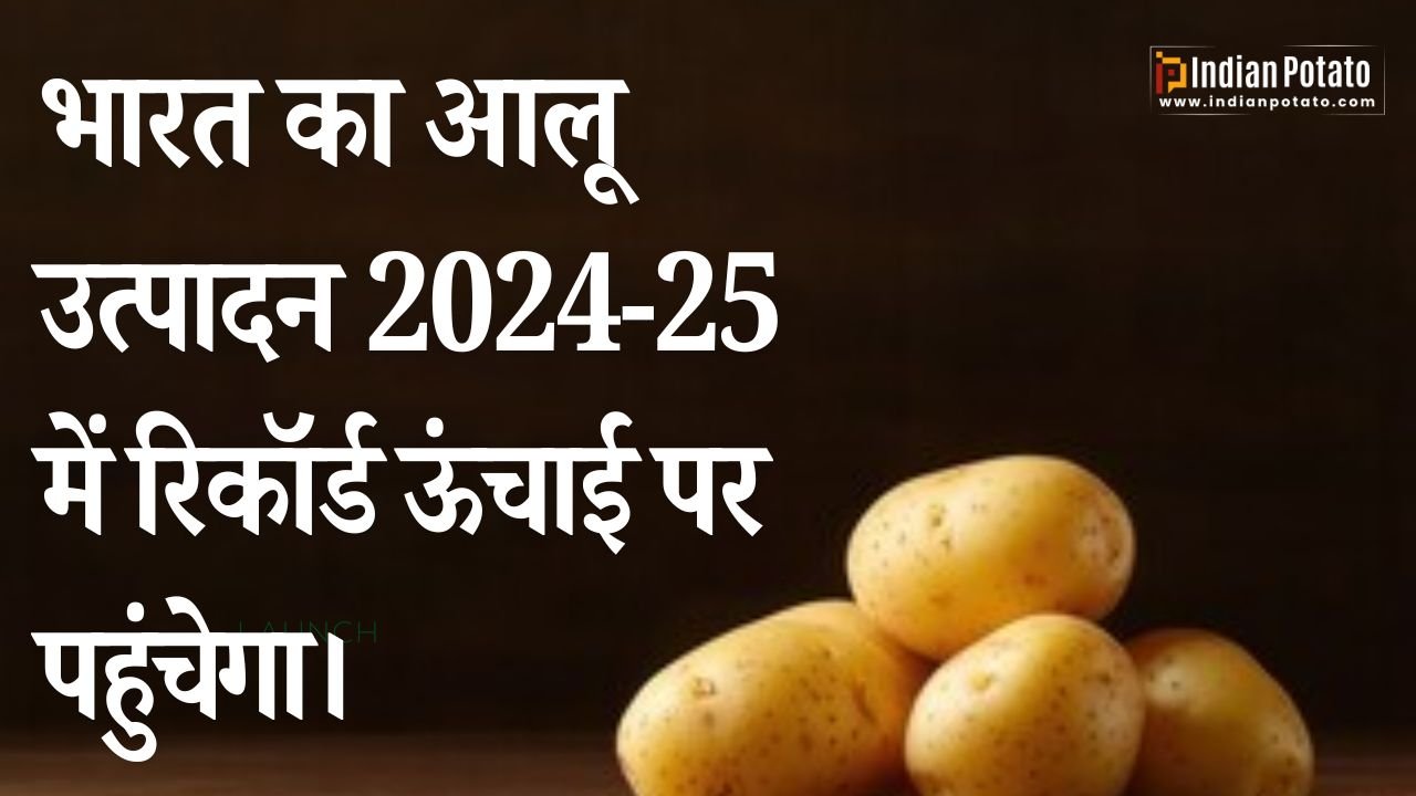 भारत का आलू उत्पादन 2024-25 में रिकॉर्ड ऊंचाई पर पहुंचेगा।