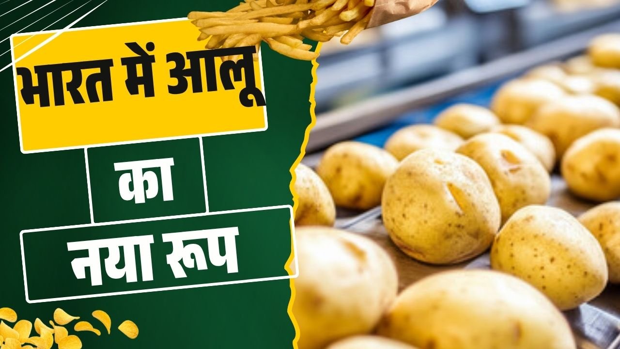 How Indian Potatoes are reinventing