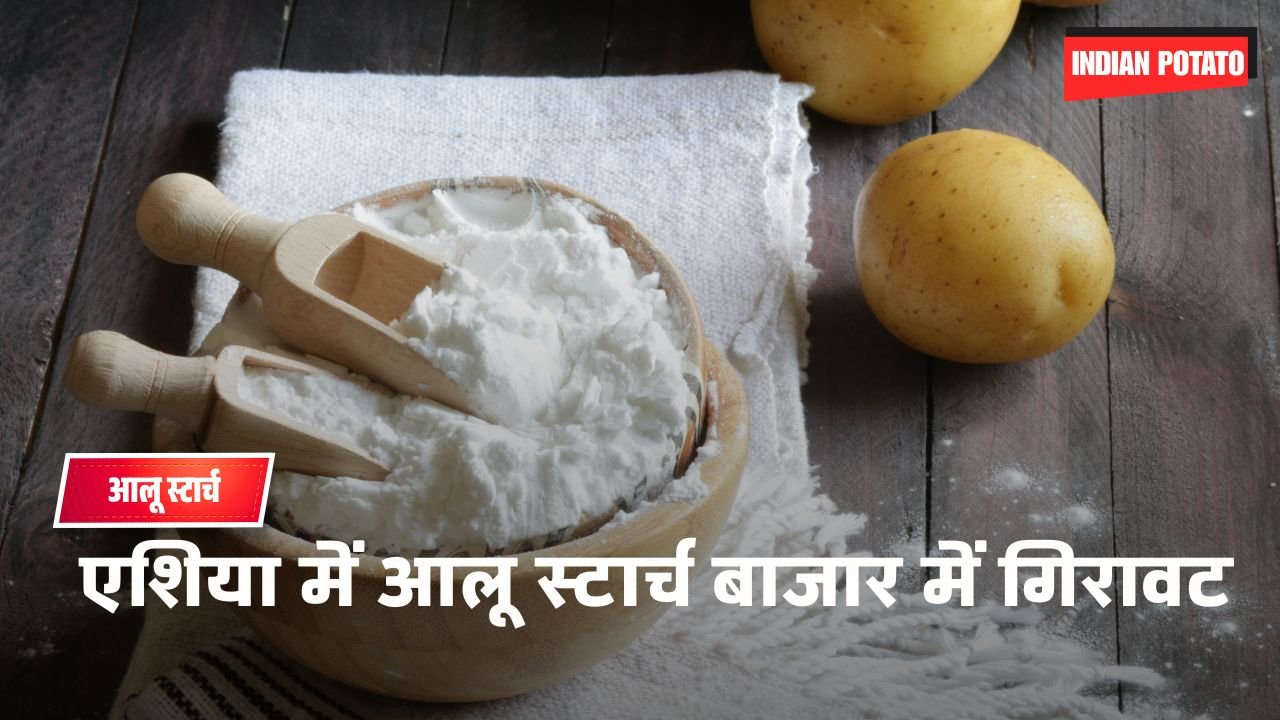 एशिया में आलू स्टार्च बाजार में गिरावट