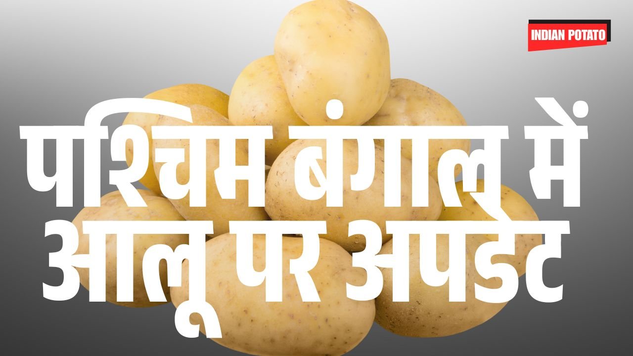 West Bengal Potato update