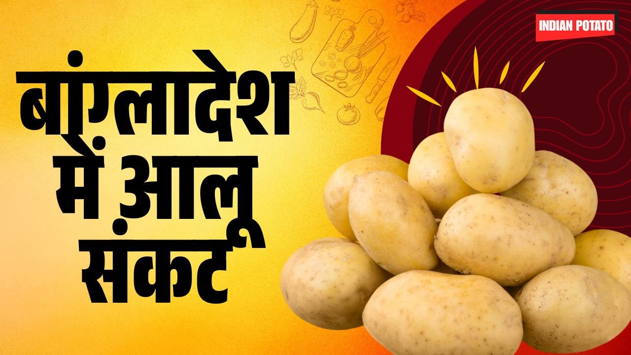 Bangladesh’s Potato Crisis Deepens Bangladesh’s Potato Crisis Deepens