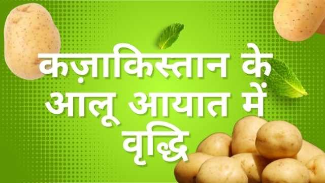 The Surge in Kazakhstan Potato Imports