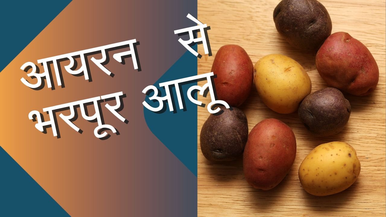 पेरू के आयरन युक्त आलू भारत में आएंगे।