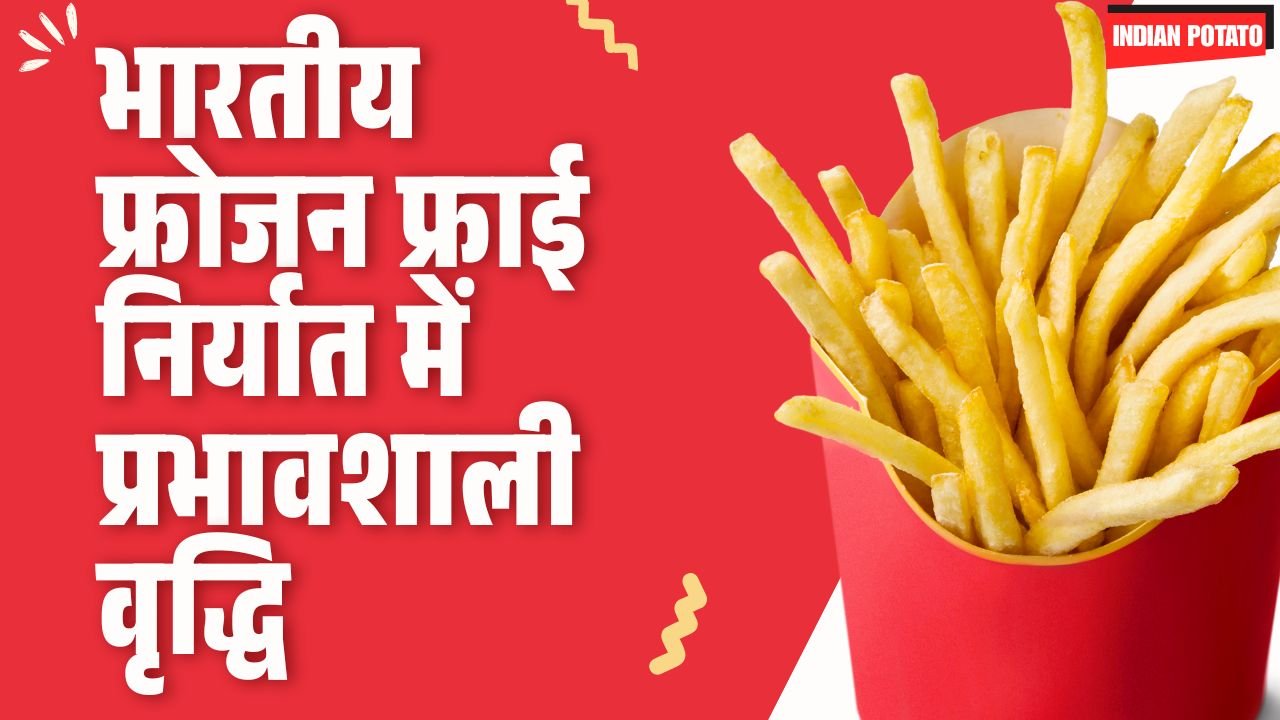 The Explosive Growth of INDIAN Frozen Fry Exports Hindi