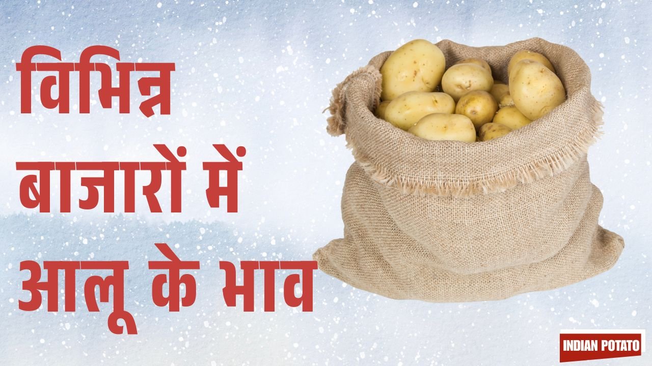 Potato Price Volatility Across India hindi