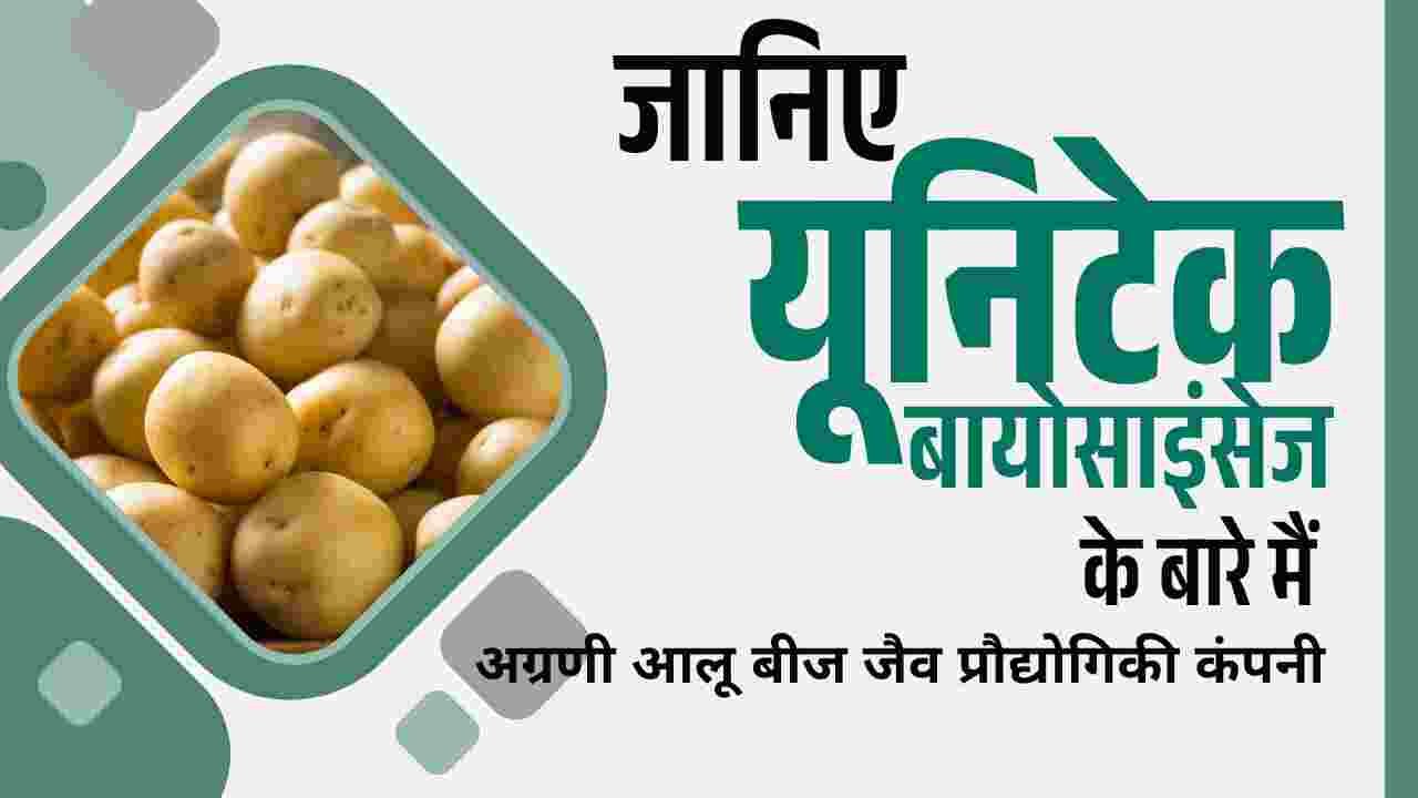 Uniagri Biosciences Private Limited Leading Potato Seed biotech company Hi Uniagri BioSciences: Growing Better Potatoes, Simply.