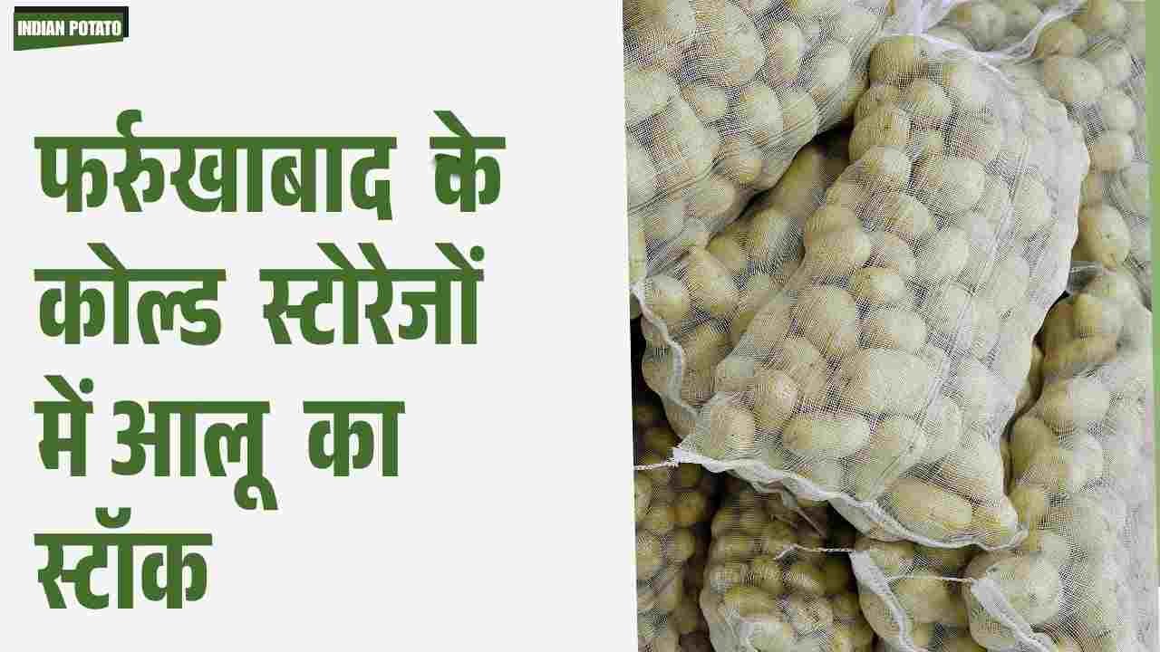 Excess Potato Stock in Farrukhabad Cold Storages Hindi