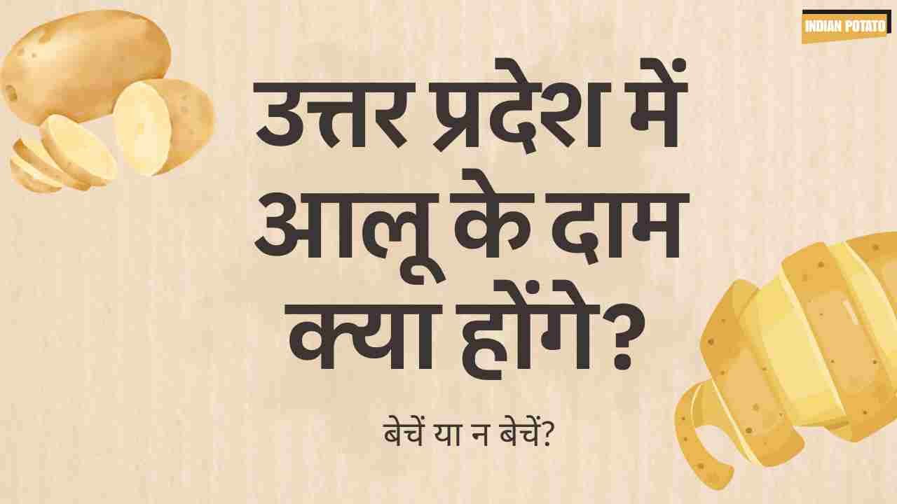What will be the potato prices in uttar pradesh Hindi