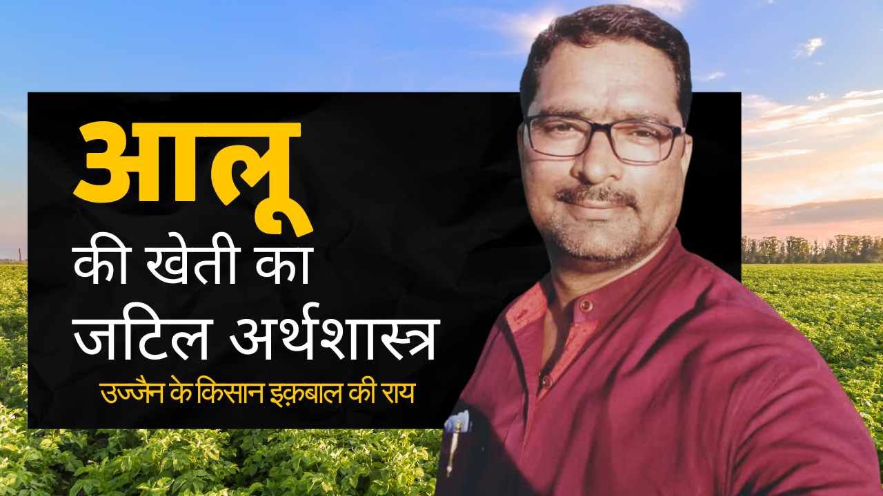 आलू की खेती का जटिल अर्थशास्त्र उज्जैन के किसान इक़बाल की राय