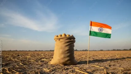 potato-export-operations.jpg potato-export-operations.jpg